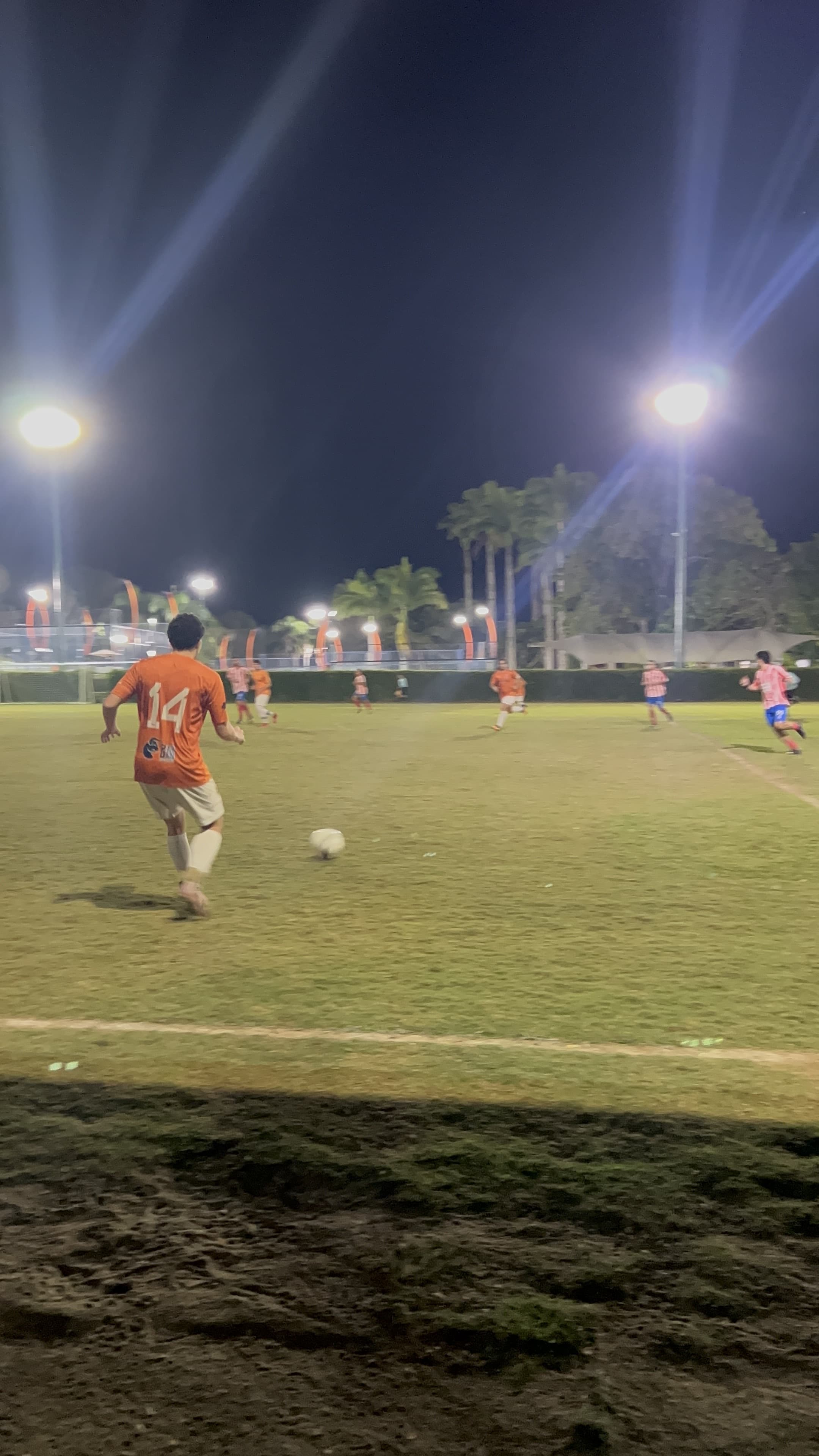 Foto de diegocato